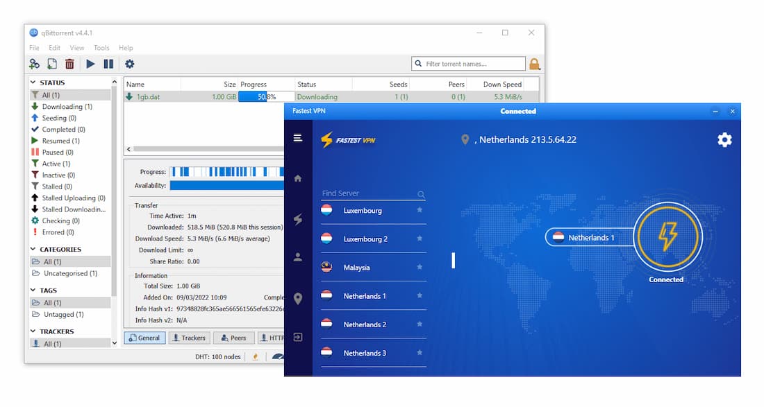 We tested FastestVPN on qBittorrent We tested FastestVPN on qBittorrent
